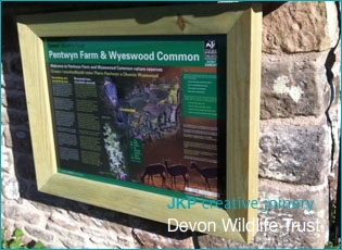 Devon Wildlife Trust